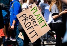 An Often Overlooked Contributor to Climate Change: Banks