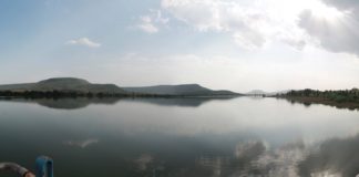 The Tiger, The River and The Bureaucrat: Analysing the Ken-Betwa River Linking Project Panna Tiger Reserve