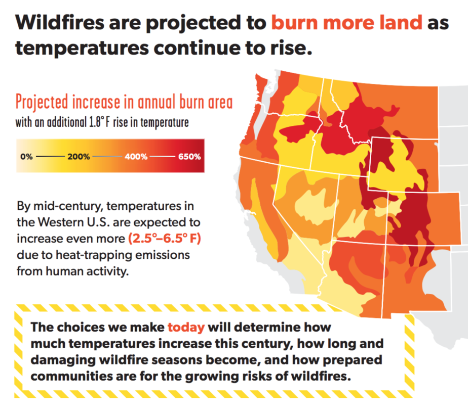 Forests of Flames: The Story of Wildfires  THE BASTION