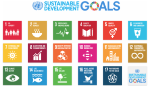 UN SDGs