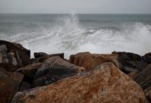 How CRZ Violations Are Being Regularized Instead of Regulated Across India’s Shoreline