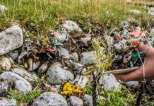 Trailing A Path of Non-Anthropogenic Jurisprudence Amidst the Climate Crisis