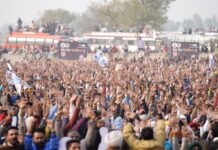 The Different Hues of Green Painting the 2022 State Legislative Assembly Elections