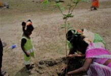 The Future of Justice Srimathy’s Judgement: Treating Mother Nature as a Legal Entity