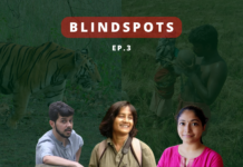 Finding A Middle Ground: Wildlife vs Human Rights Conservation Blindspots 2