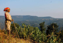 Tragedy of the Commons: How a Flawed and Racist Metaphor Continues to Dominate Environmental Thinking