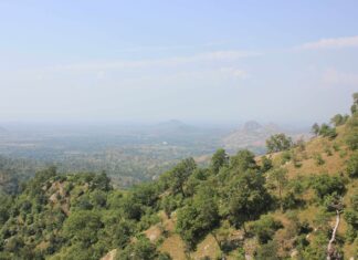 Caste, Class, and Awareness—Makers and Breakers of Common Land Dispute Resolution in Rajasthan